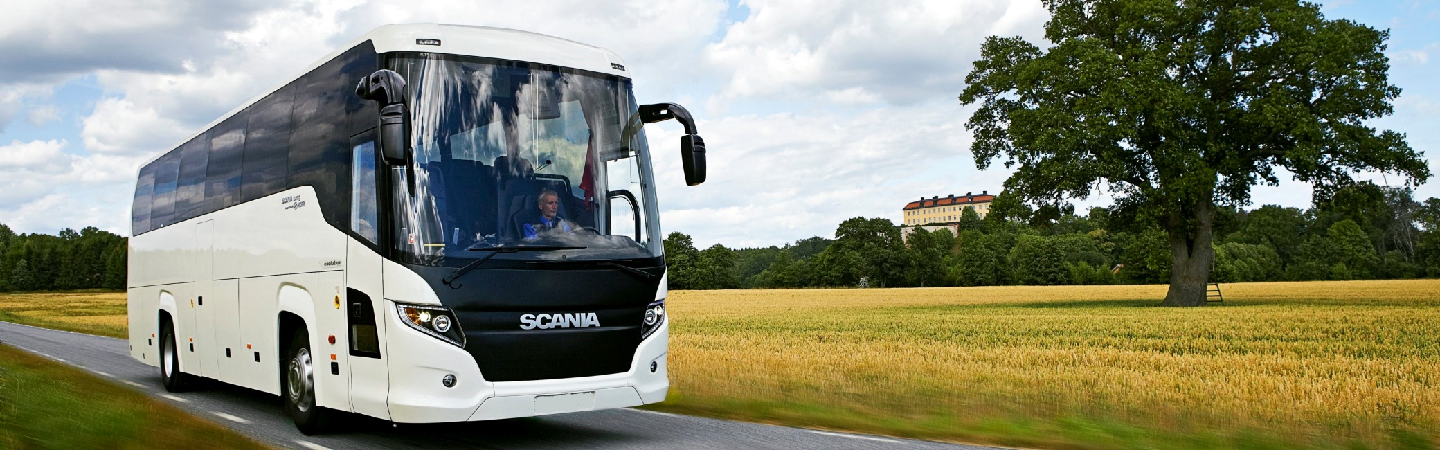 buses scania